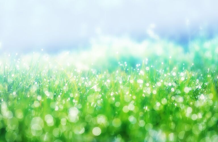 骨と整体って関係あるでしょうか！に四日市の整体院、村田整体がお答えします！